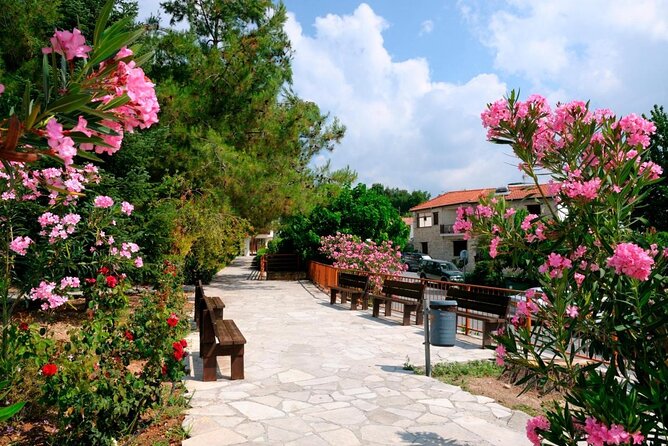 100% Cyprus - Tour to Troodos mountains and villages (From Paphos) - Key points before you book