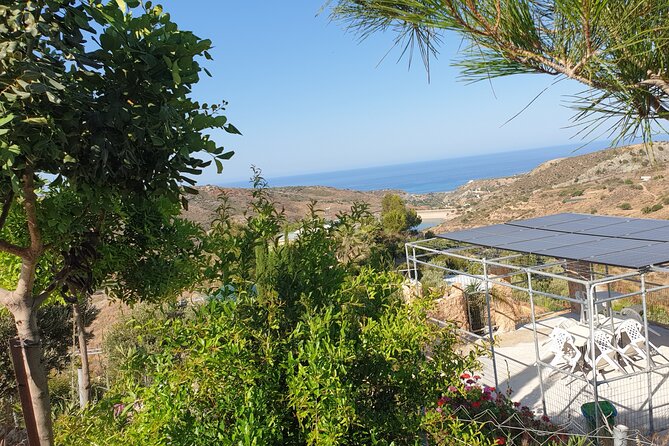 2-Hour Botanic Garden Tour in Akoursos - A quick look at the glamping pods