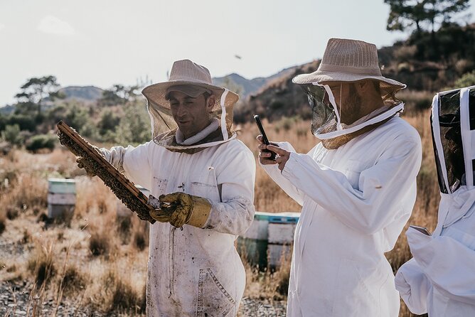 30-Minute Guided Honey Tasting Activity in Melini - Key Points Before You Book