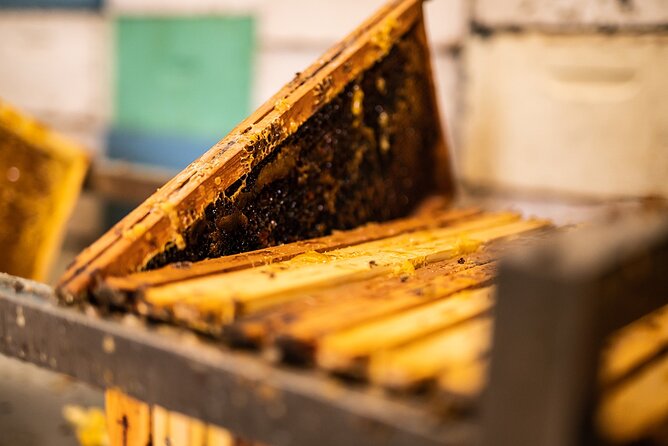 30-Minute Guided Honey Tasting Activity in Melini - Why This Small Melini Visit Works