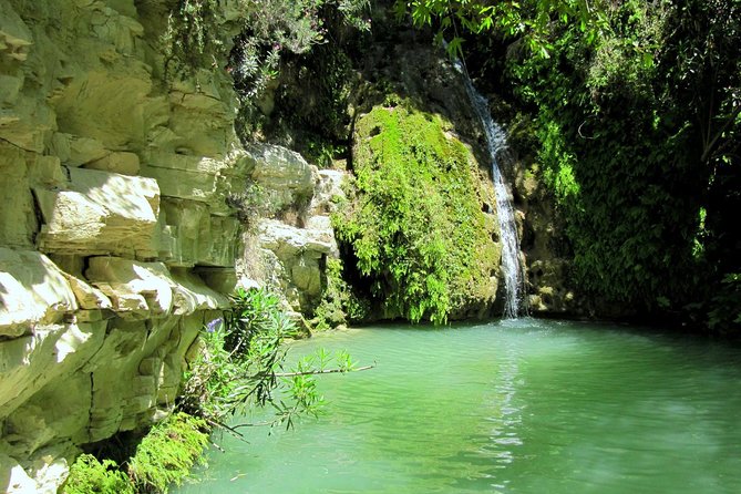 4 hour Quad & Buggy Safari Akamas(lara Bay) & Adonis Falls - Why this Paphos safari is worth considering