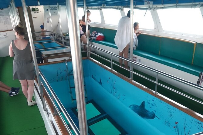 90-Minutes Glass Bottom Trip With Quick Dip - Reefs, sea turtles, and the quick dip