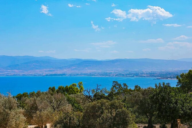 Akamas, Baths of Aphrodite and Blue Lagoon Day Tour from Paphos - The Blue Lagoon boat trip
