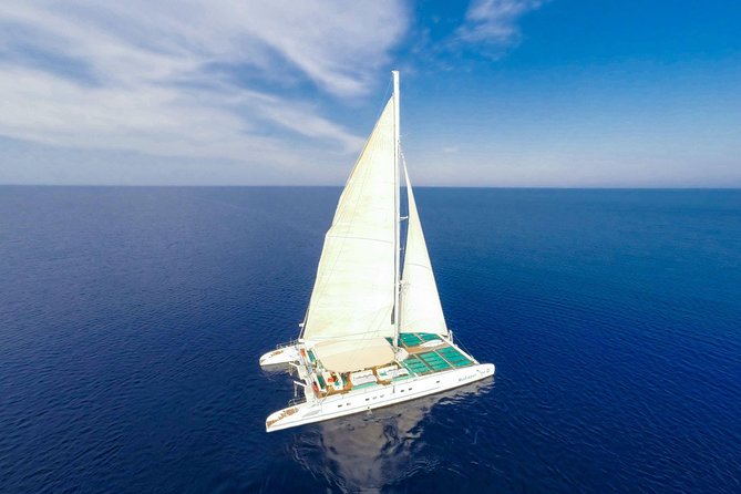 Aqua Catamaran Cruise from Protaras - What makes the crew important