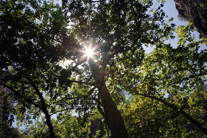 Beauty, Nature and Charm of Troodos Mountains from Paphos - What the small vehicle changes