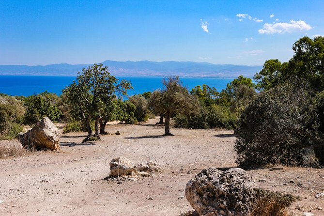 Blue Lagoon and Aphrodite’s Birthplace Day Tour from Limassol - Is $78.10 good value?