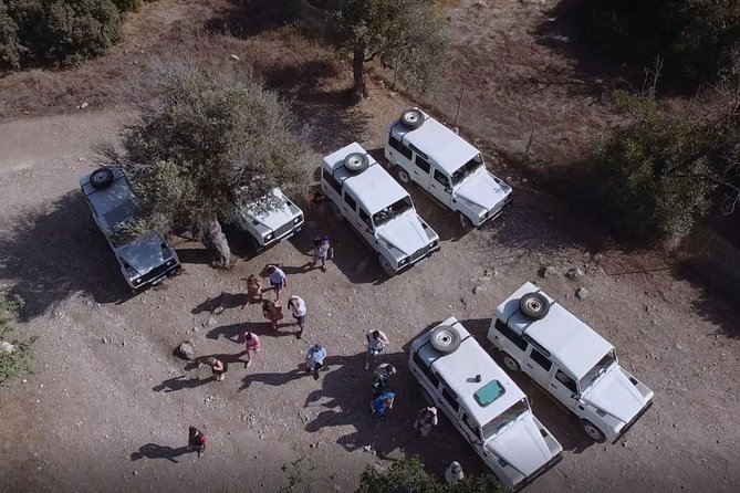 Cruise and 4X4 Safari Tour at Akamas Peninsula from Paphos - Why this Akamas tour works from Paphos