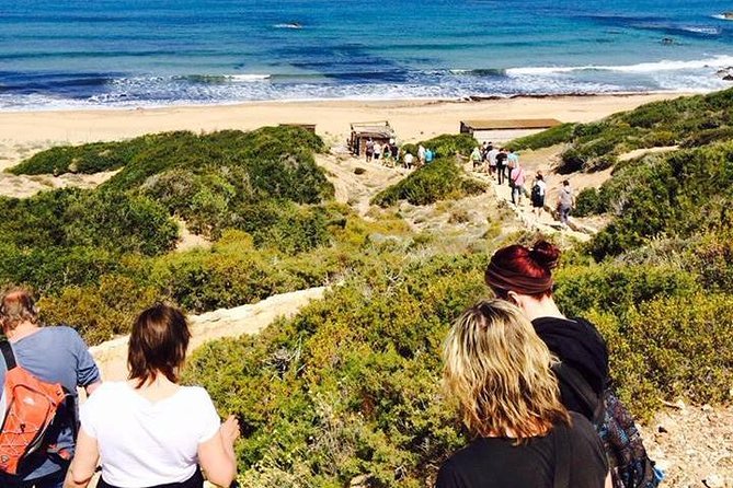 Cruise and 4X4 Safari Tour at Akamas Peninsula from Paphos - Pickup details deserve your attention