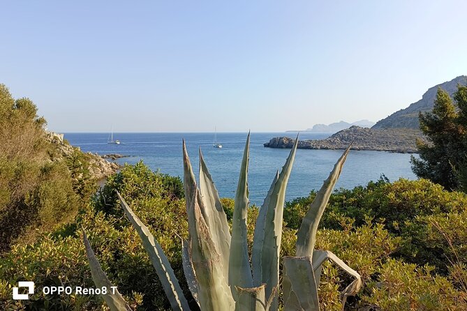 Day Trip to the Paphos amazing sides from Limassol. - Aphrodite’s Rock and a taste of Cyprus