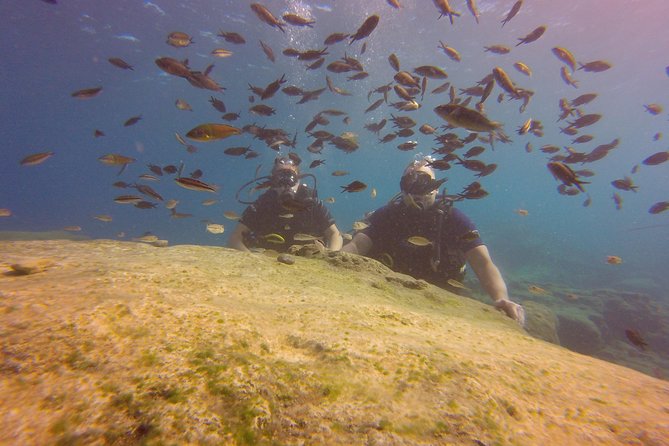Discover Scuba diving - Green Bay’s statues, fish, and clear beginner-friendly water
