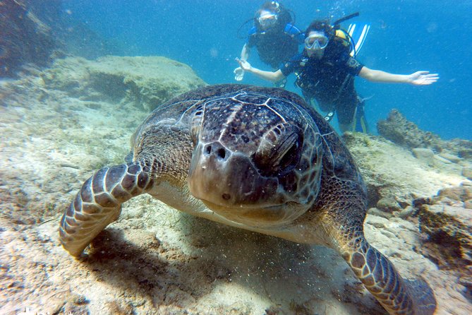 Discover Scuba diving - What happens during the three-hour session