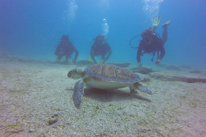 Discover Scuba diving - Pickup from Ayia Napa and Protaras