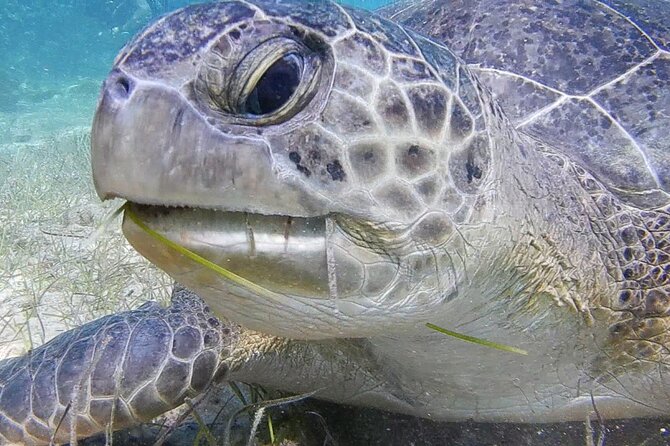Discover Scuba Diving - Safety and support when nerves appear