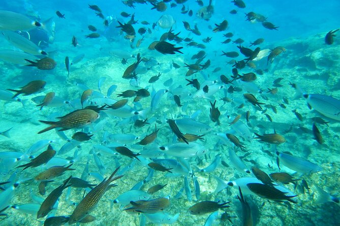 Discover Scuba Diving - What the $102.12 price includes