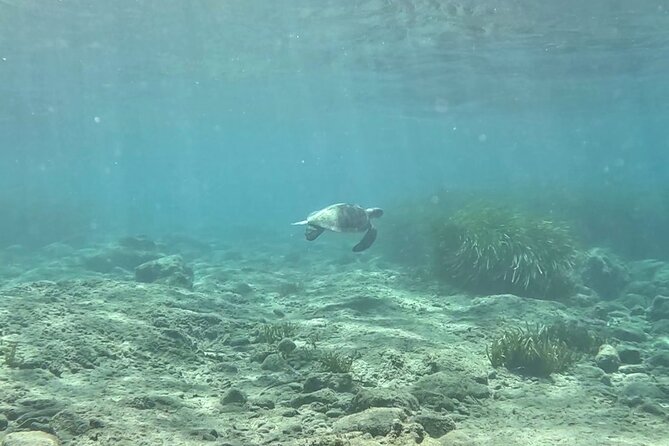 Discover Scuba Diving Amathounta's Ancient Port - What happened to the ancient port