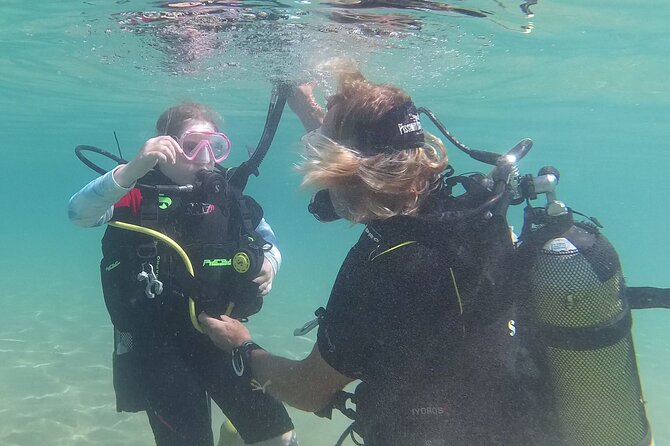 Discover SCUBA Diving with Pissouri Bay Divers - Up to an hour among Cyprus marine life