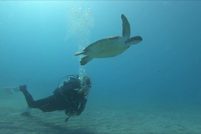 Discover SCUBA Diving with Pissouri Bay Divers - What makes the instructors important