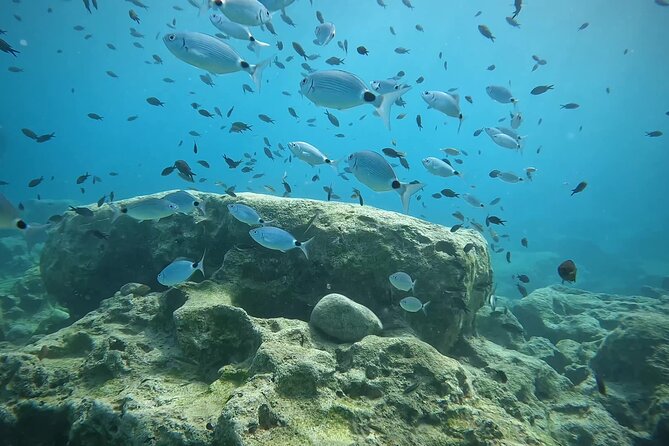 Discover SCUBA Diving with Pissouri Bay Divers - Is $145.18 a fair price?