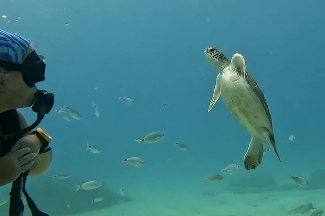 Discover SCUBA Diving with Pissouri Bay Divers - Who should book this experience?
