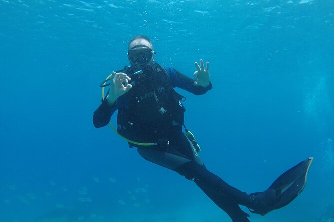 Dive The Rock (Scuba Diving Experience in Protaras) - Green Bay Beach and the underwater sights