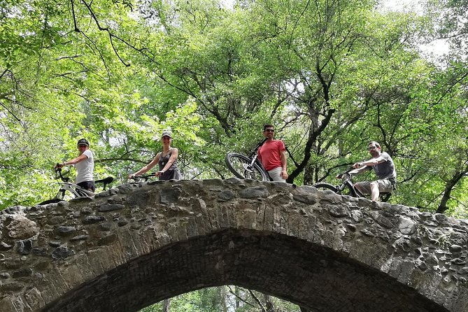 Explore Paphos forest with e-mountain bikes - Key points before you book