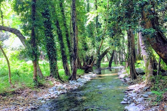 Explore Paphos forest with e-mountain bikes - What the e-bikes really add