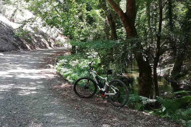 Explore Paphos forest with e-mountain bikes - Is $154.88 good value?