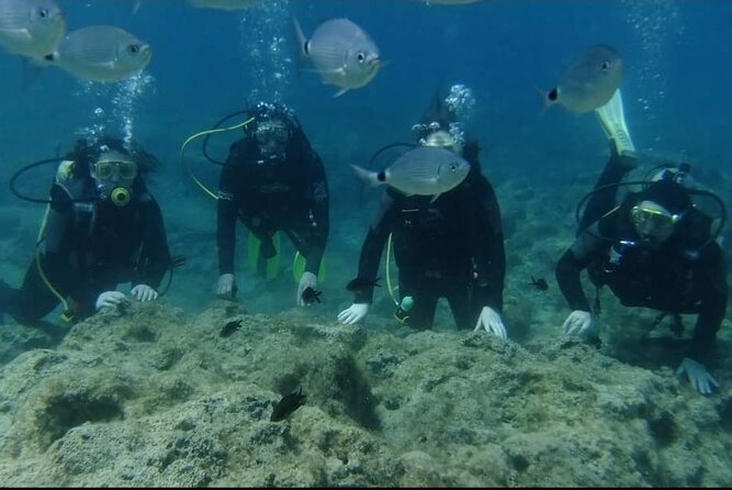 First Time Scuba Dive Adventure, Makronissos, Ayia Napa - The safety lesson comes first