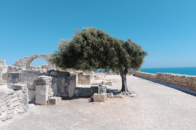 From Limassol, Aphrodite Rocks and Kourion Archeological Side - The hilltop wine tasting adds a local pause