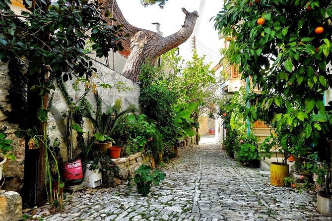 Gourmet Cyprus Tour – Local Flavors & Wine from Paphos - Kafkalia and the smoky side of Cyprus