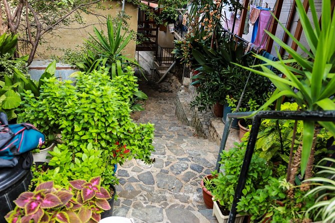 Gourmet Cyprus Tour – Local Flavors & Wine from Paphos - Agros and the scent of Damask roses