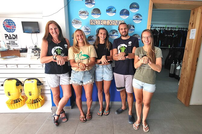 Guided snorkeling trip to the turtles in Protaras - Looking for a turtle in its natural setting