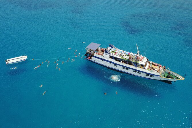 Half-Day Odyssey Guided Boat Safari with Lunch in Cyprus - Key Things to Know Before You Go