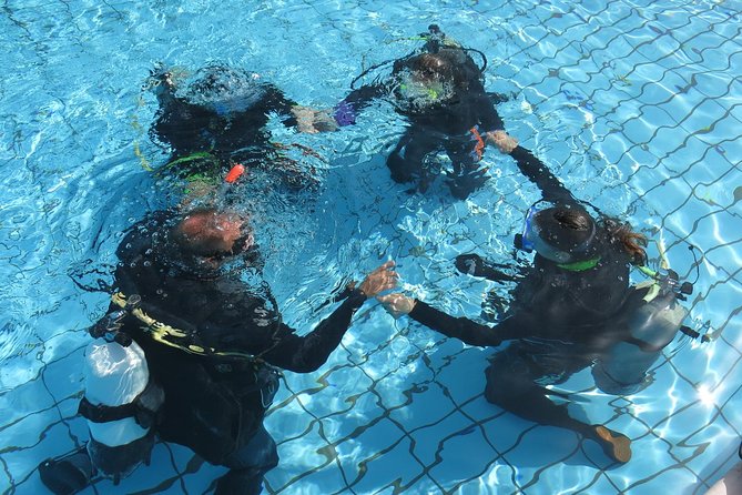 Half-Day Scuba Diving Tour - Discover Scuba Diving! - What the three-hour schedule feels like