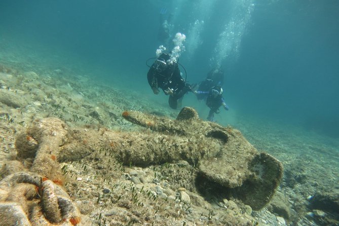 Half-Day Scuba Diving Tour - Discover Scuba Diving! - The $100.37 price and what it includes