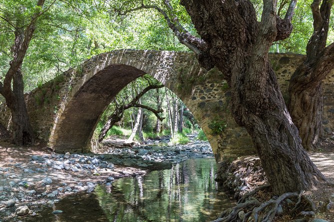 Individual Tours from Paphos - Guides who shape the day