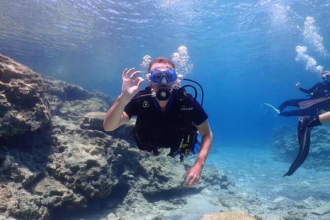 Introductory diving in small groups - Key points to know before booking