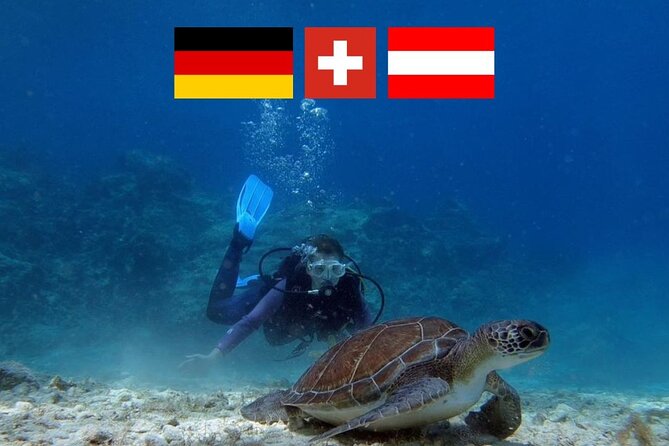 Introductory diving in small groups - Why Green Bay is a smart place for a first underwater session