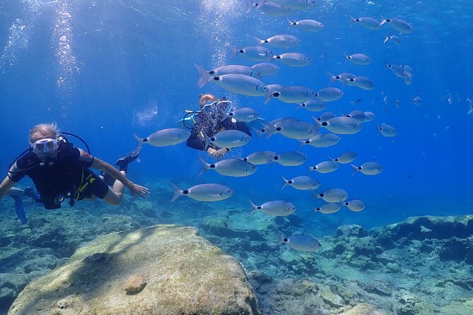 Introductory diving in small groups - Entering the Mediterranean at Green Bay