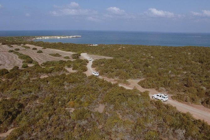 Jeep Safari Akamas from Paphos - Key points at a glance