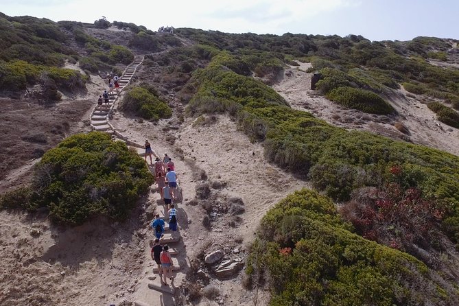 Jeep Safari Akamas from Paphos - The guides make the difference