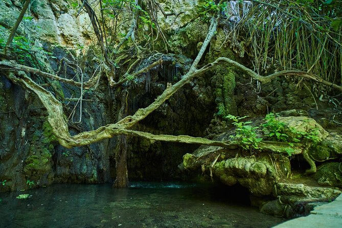 Jeep Safari Akamas from Paphos - Is $81.48 good value?