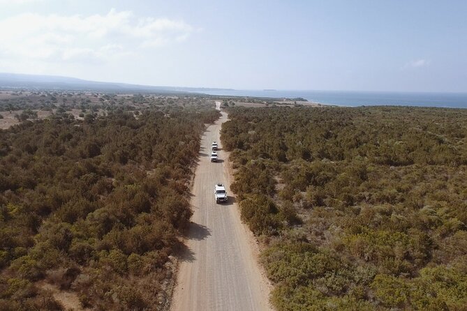 Jeep Safari to Akamas from Limassol - Why Akamas makes a better day out than another beach stop