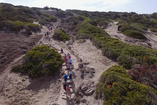 Jeep Safari to Akamas from Limassol - Avakas Gorge, Cyprus at its most dramatic