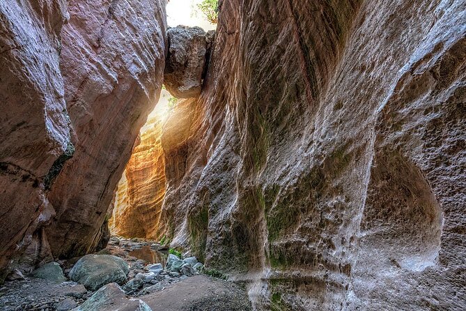Jeep Safari to Akamas National Park: Avakas Gorge Tour from Paphos - The Jeep ride sets the tone