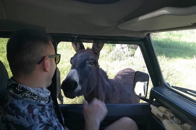 Jeep Safari to Akamas National Park: Avakas Gorge Tour from Paphos - Avakas Gorge and the short wilderness hike
