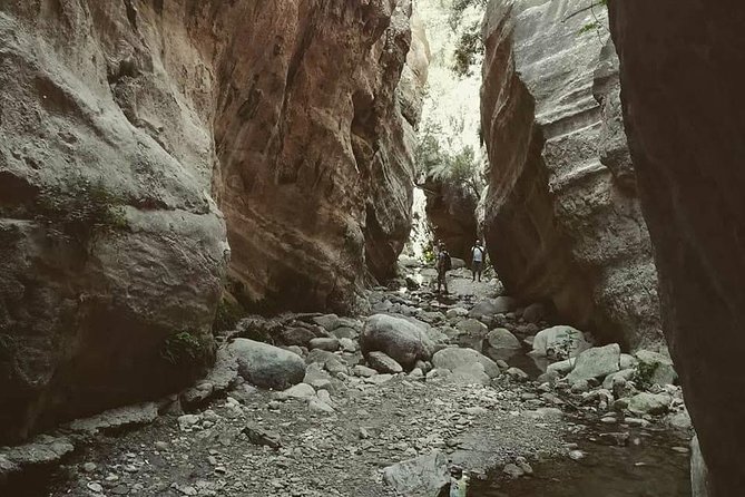 Jeep Safari to Akamas National Park: Avakas Gorge Tour from Paphos - Lara Bay and the quiet turtle station