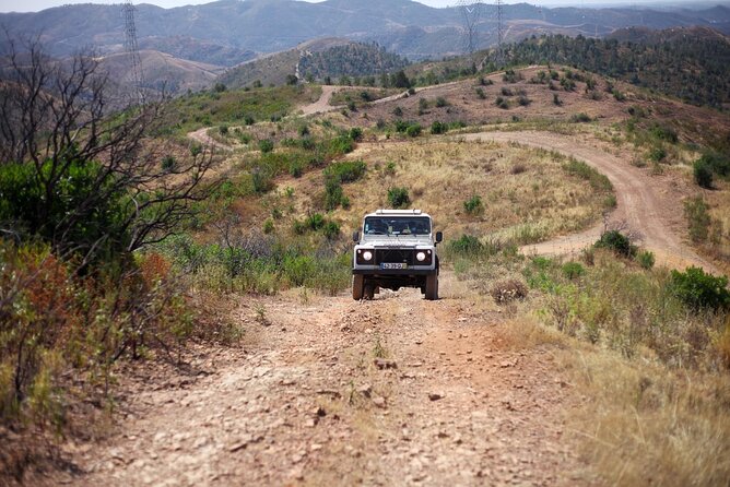 Jeep Safari to Akamas National Park: Avakas Gorge Tour from Paphos - Akamas Peninsula and the possible swim