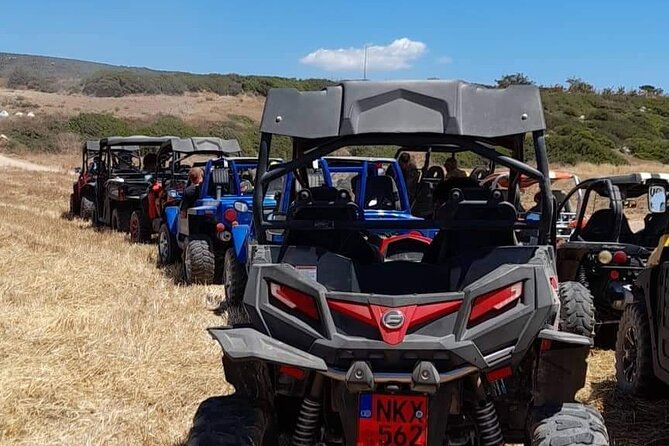 Lara Bay & Adonis Falls Quad & Buggy Tour - What this Paphos off-road tour is really like