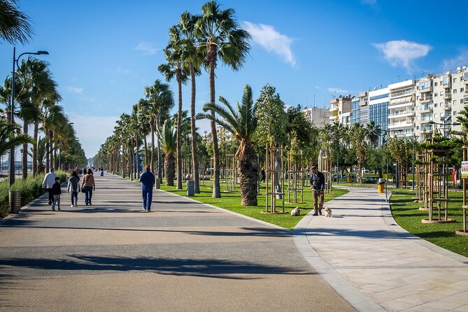 Limassol Private Walking Tour with a Local - The Archaeological Museum meeting point